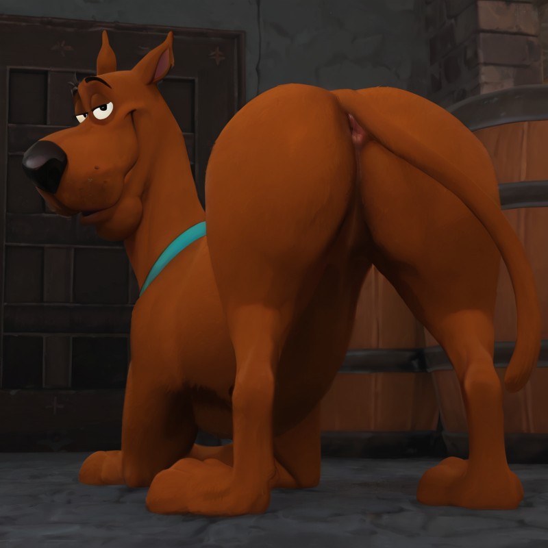 A Feral Great Dane Dog Looking Back at the Viewer