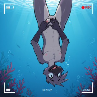 Crow in Underwater Scene