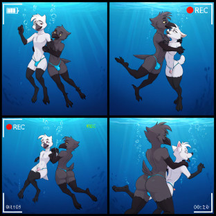 Crow and Wolf Underwater Embrace