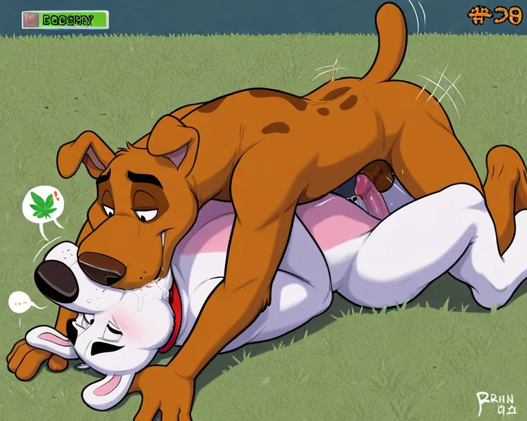 Mysterious Canine Duo Explores Forbidden Love