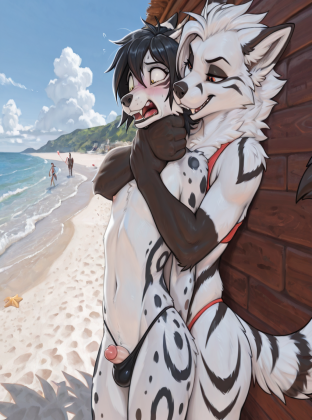 Fox Couple at Beach