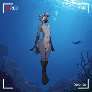 Crow Floating Underwater