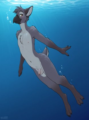 Crow Swimming Underwater