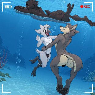 Crow and Wolf Interspecies Encounter