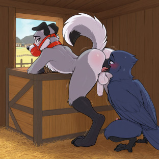 Crow Anthro and Dog Duo in Barn