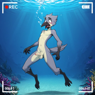 Crow Floating Underwater