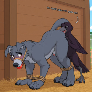Crow Grey and Dog Anthro in Barn
