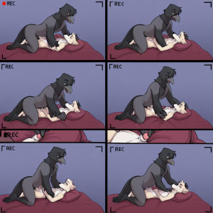 Crow and Dog Enjoying Intimate Bedtime